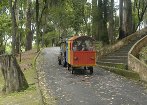 Parque Regional da Criança em Santo André