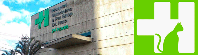 Dr Hato Santo André