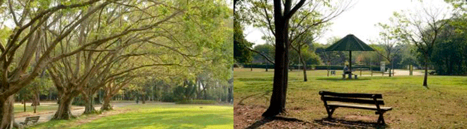 Parque Regional da Criança em Santo André